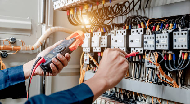 Best Electric Panel Repair  in Pierz, MN