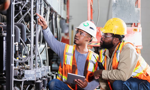 Best Electrical System Inspection  in Pierz, MN