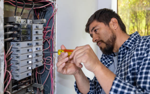 Best Electrician Near Me  in Pierz, MN